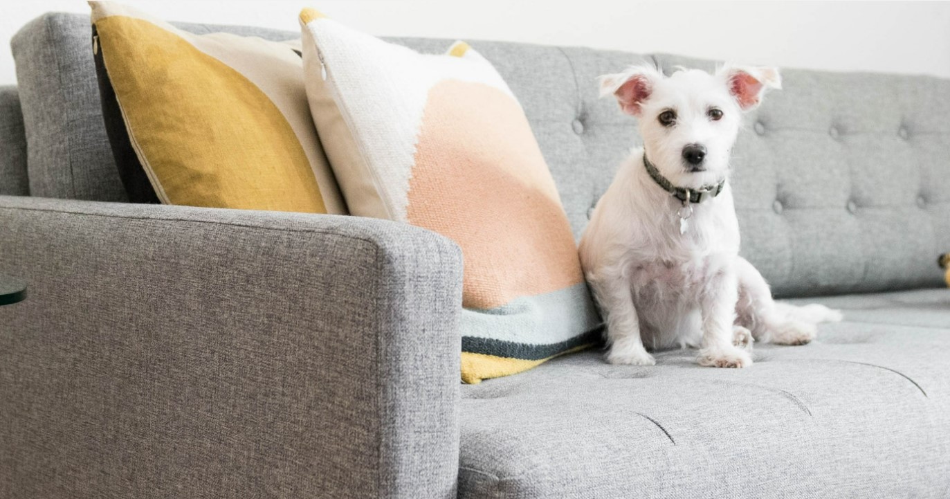 PetFriendly Fabrics